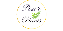 powrplants.com